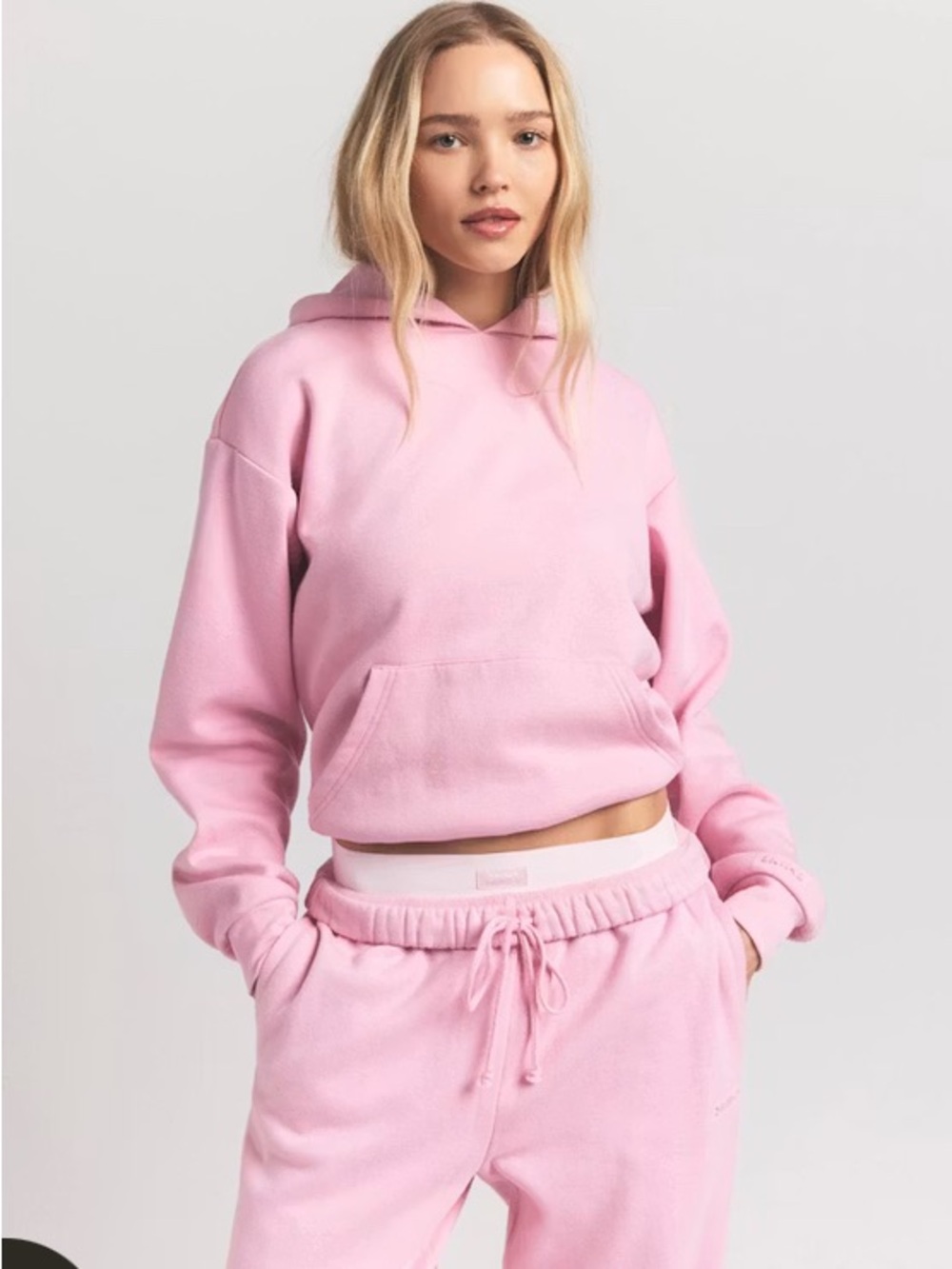 SKIMS NWT ( rare) Classic Light Pink Pullover Hoodie